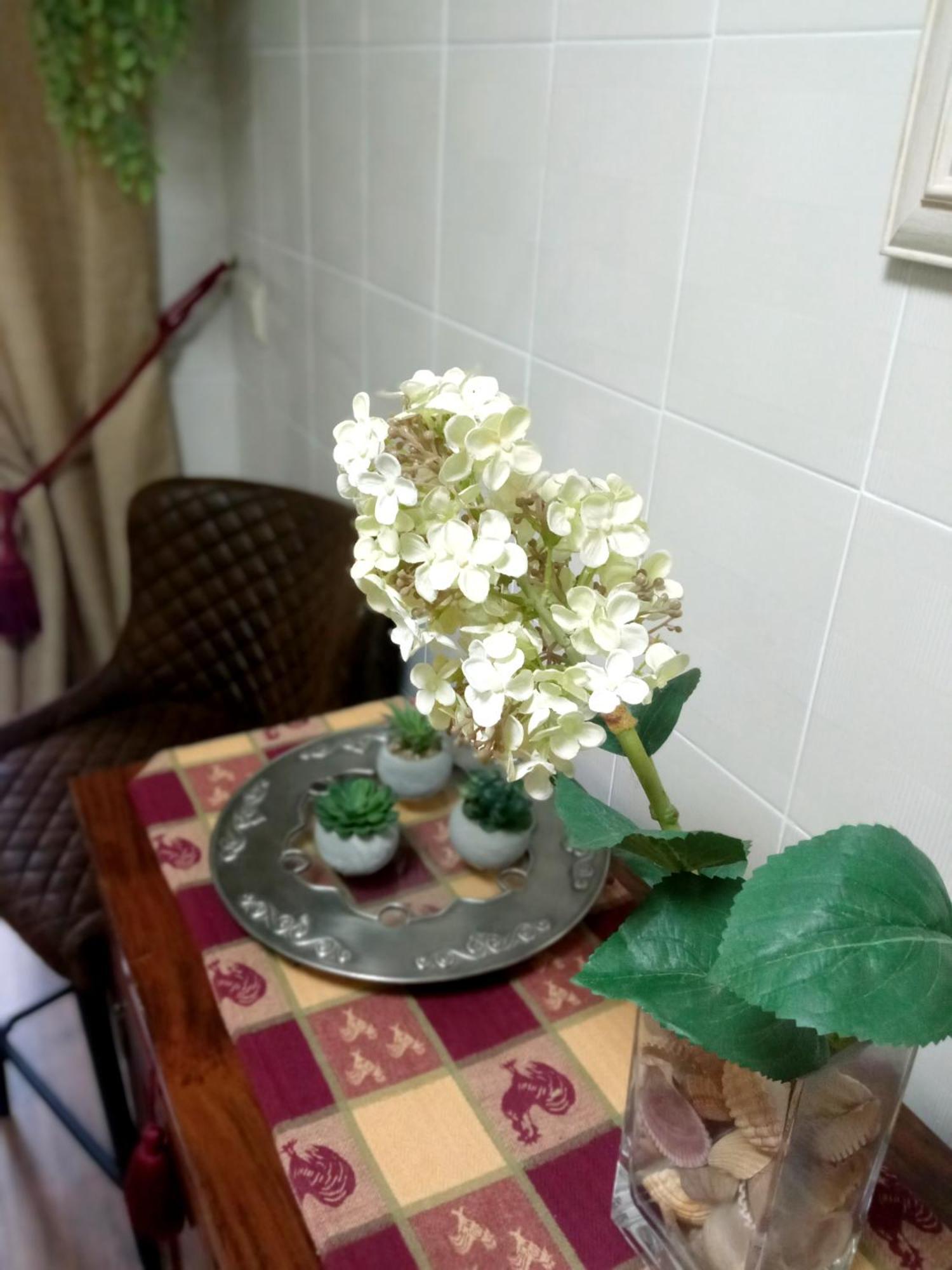 דירות קורדובה Casa De Nina מראה חיצוני תמונה